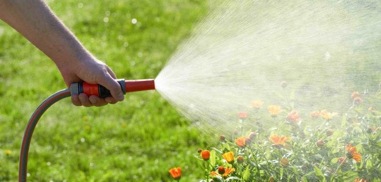 Rainwater Tanks Save More Than Just Dollars …