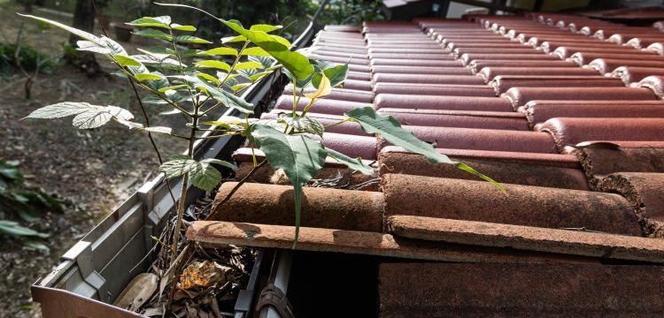 Seasonal Gutter Maintenance = lower your costs and your risks