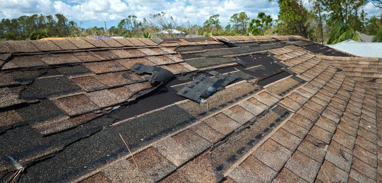 Restoring or Replacing Your Roof – what’s the Difference?