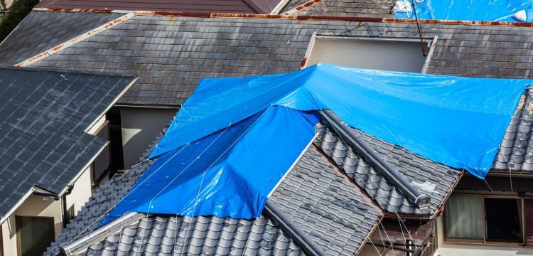 La Nina – How to Protect Your South Coast Home